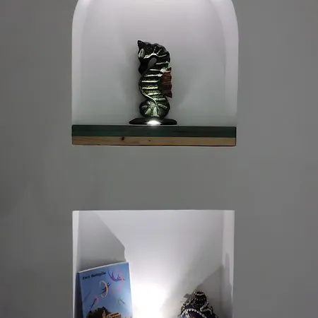 Timbuktu ホステル *