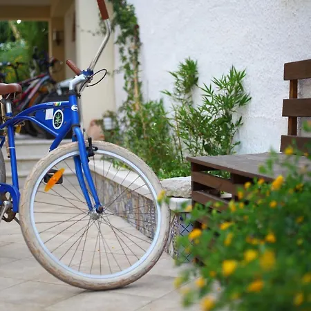 ホステル Timbuktu