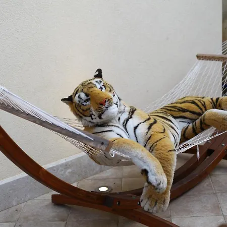 Timbuktu Hostel San Vito Lo Capo