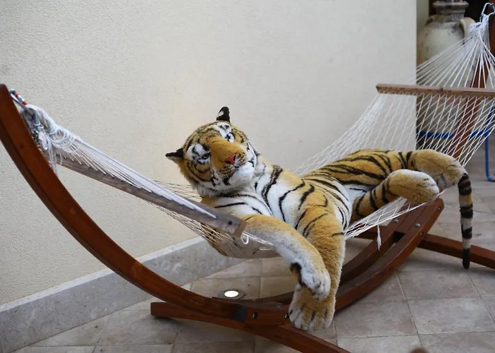 Timbuktu Ostello San Vito Lo Capo